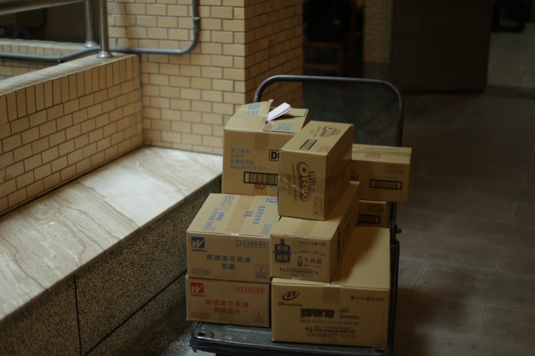 Confía en JustClean: expertos en vaciado de viviendas en El Raval 